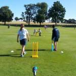 Kwik Cricket success for Years 3 and 4