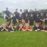 Young Cricketers shine at Harlow Festival