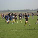 Teg Rugby Qualifiers 2011
